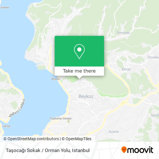 Taşocağı Sokak / Orman Yolu map