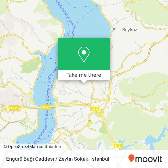 Engürü Bağı Caddesi / Zeytin Sokak map