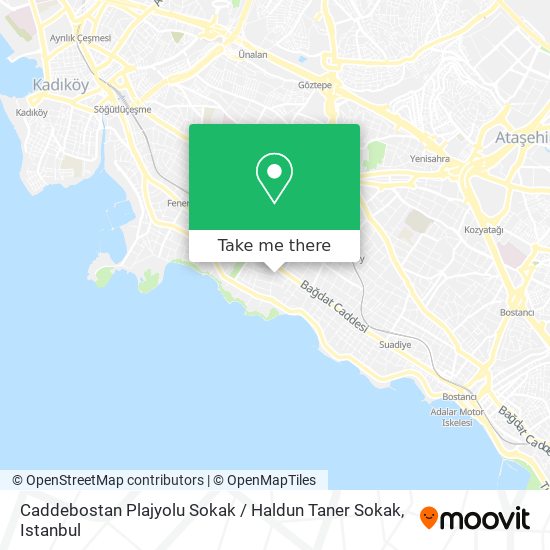 Caddebostan Plajyolu Sokak / Haldun Taner Sokak map