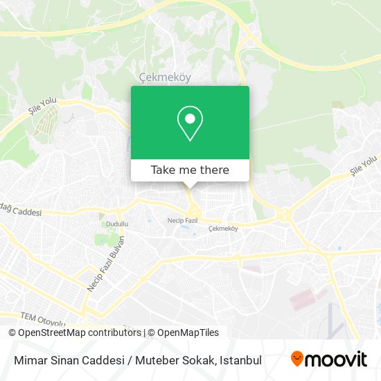 Mimar Sinan Caddesi / Muteber Sokak map