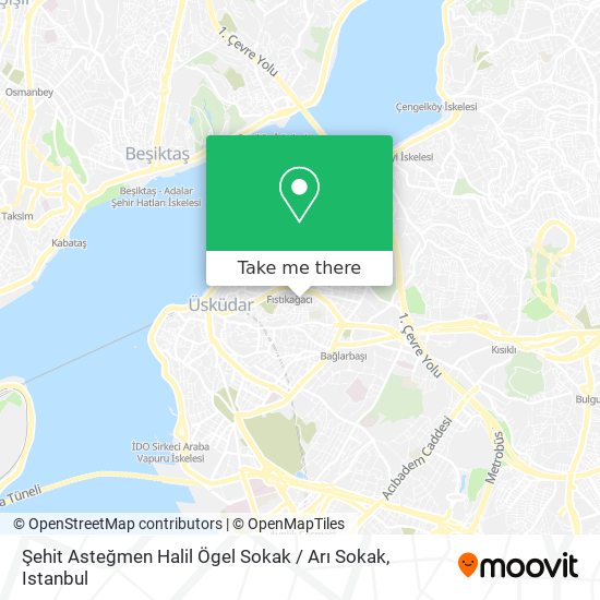 Şehit Asteğmen Halil Ögel Sokak / Arı Sokak map