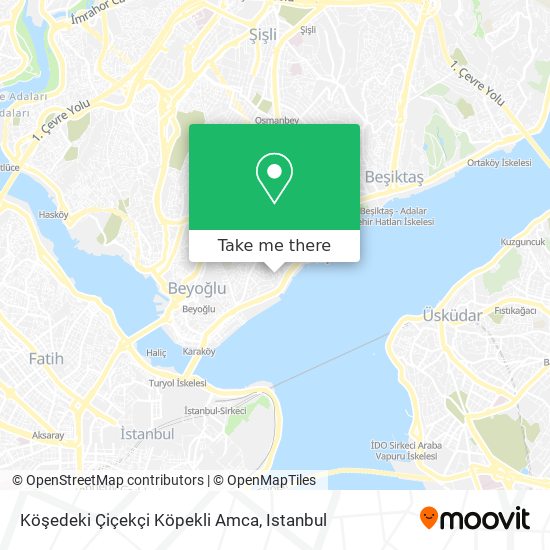 Köşedeki Çiçekçi Köpekli Amca map