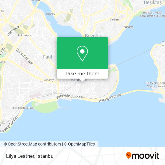 Lilya Leather map