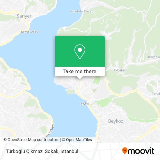 Türkoğlu Çıkmazı Sokak map