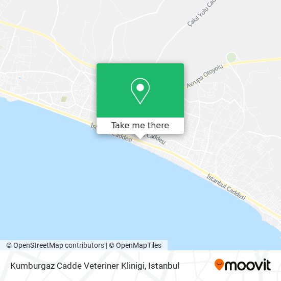 Kumburgaz Cadde Veteriner Klinigi map