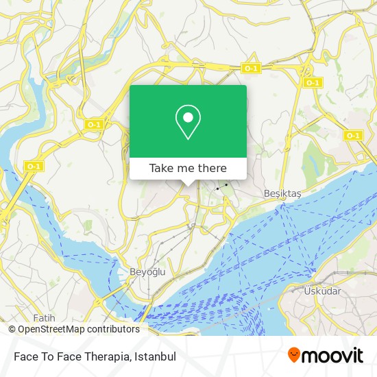 Face To Face Therapia map