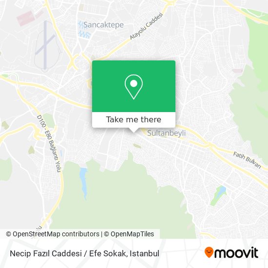 Necip Fazıl Caddesi / Efe Sokak map