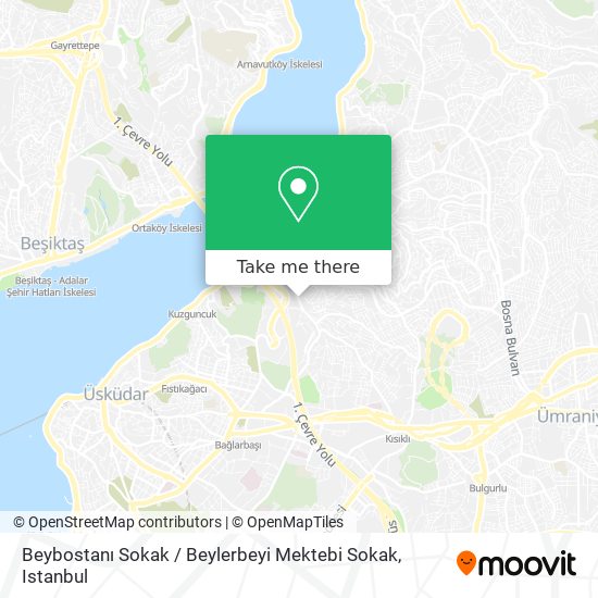 Beybostanı Sokak / Beylerbeyi Mektebi Sokak map