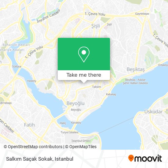 Salkım Saçak Sokak map