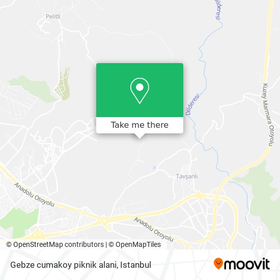 Gebze cumakoy piknik alani map