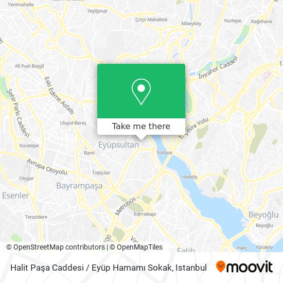 Halit Paşa Caddesi / Eyüp Hamamı Sokak map