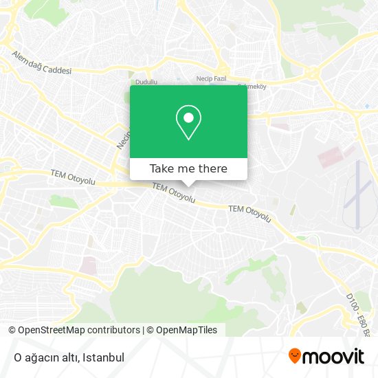 O ağacın altı map