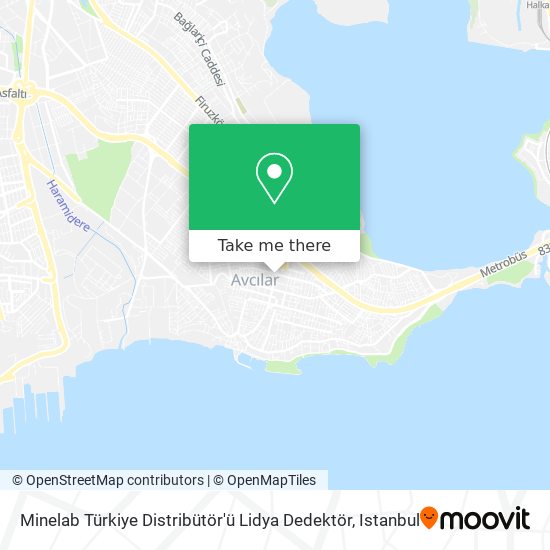 Minelab Türkiye Distribütör'ü Lidya Dedektör map