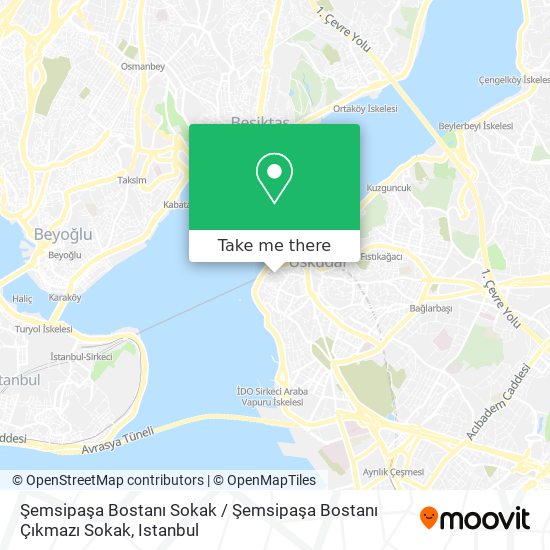 Şemsipaşa Bostanı Sokak / Şemsipaşa Bostanı Çıkmazı Sokak map