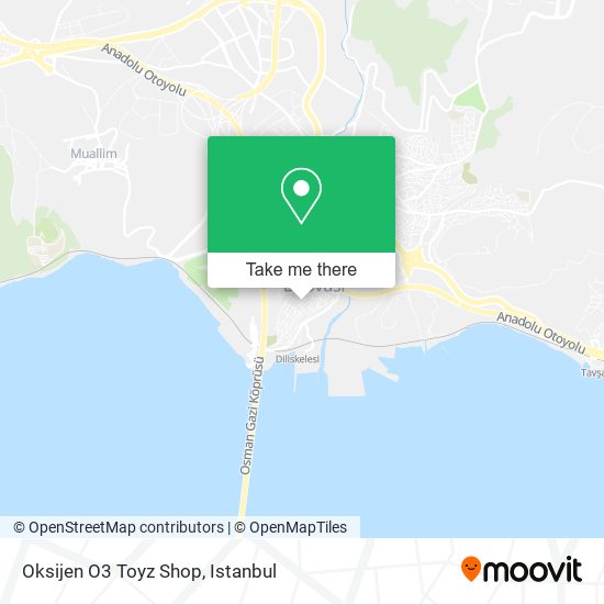 Oksijen O3 Toyz Shop map