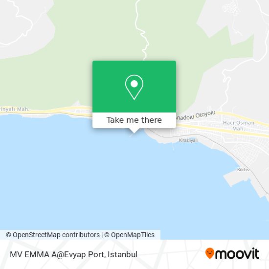 MV EMMA A@Evyap Port map
