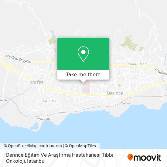 Derince Eğitim Ve Araştırma Hastahanesi Tıbbi Onkoloji map