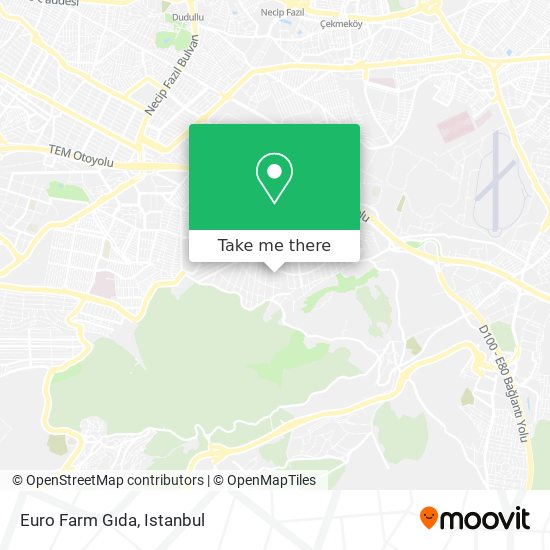 euro halı saha