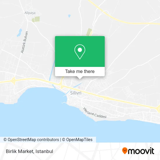 Birlik Market map