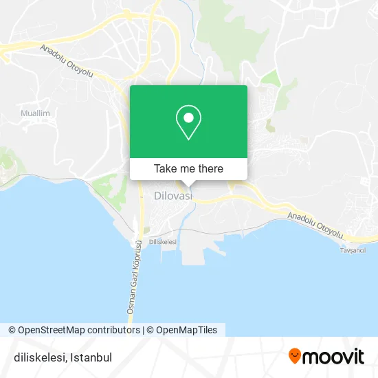 diliskelesi map