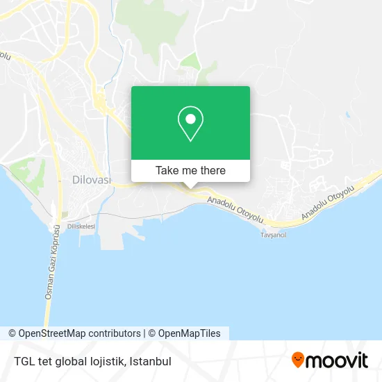 TGL tet global lojistik map