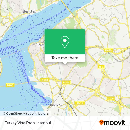 Turkey Visa Pros map