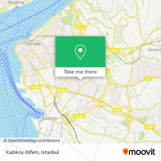 Kadıkoy dılfem map