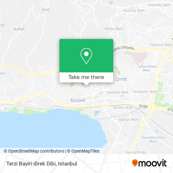Terzi Bayiri direk Dibi map