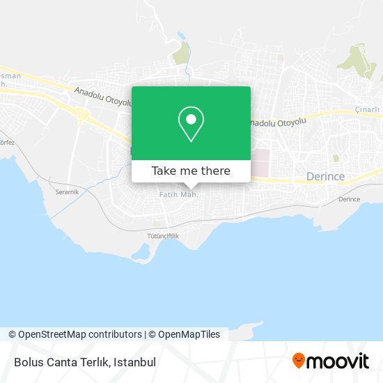 Bolus Canta Terlık map