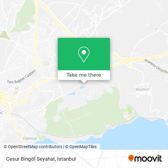 Cesur Bingöl Seyahat map