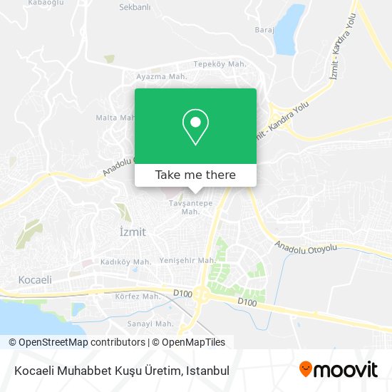 Kocaeli Muhabbet Kuşu Üretim map