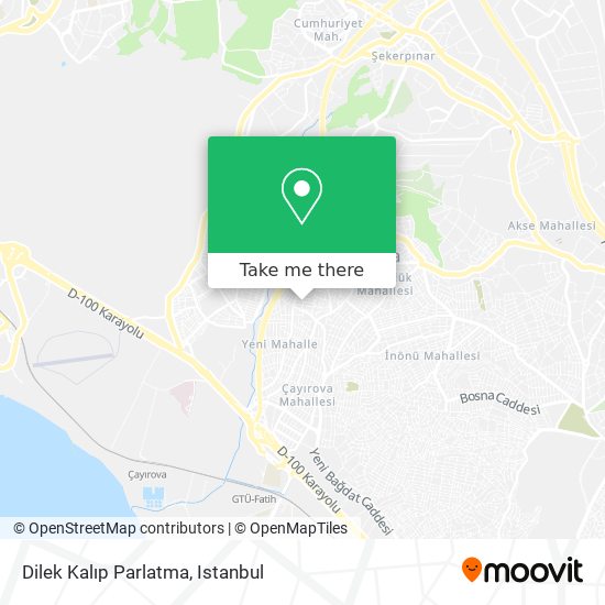 Dilek Kalıp Parlatma map