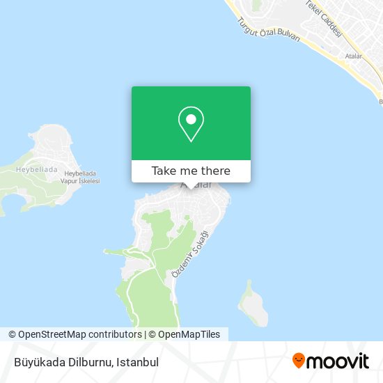 Büyükada Dilburnu map