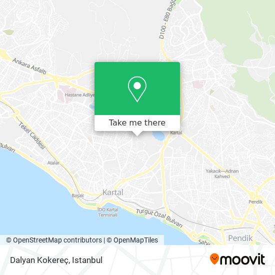 Dalyan Kokereç map