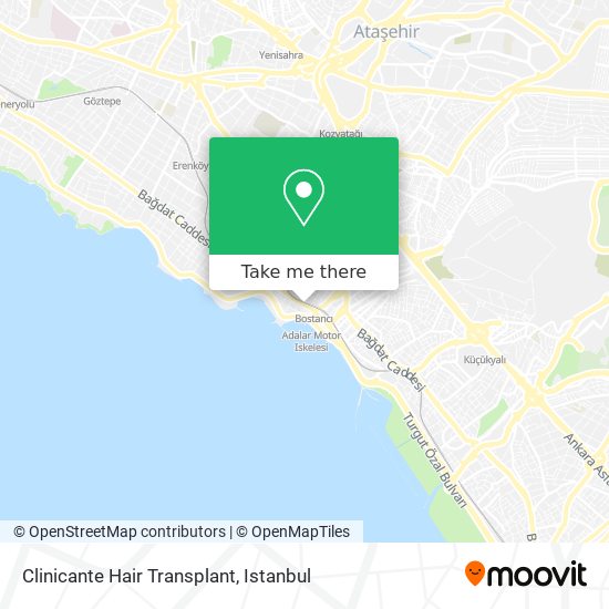 Clinicante Hair Transplant map