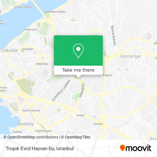 Tropık Evcıl Hayvan Du map