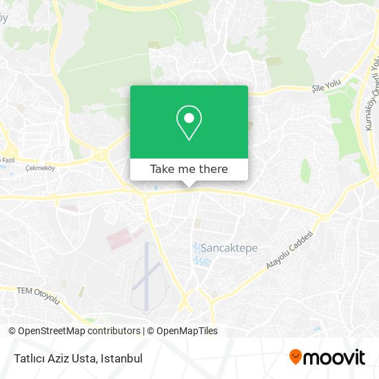 Tatlıcı Aziz Usta map