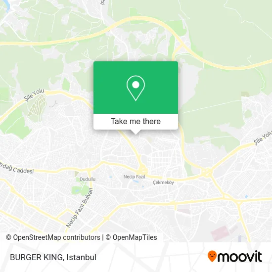 BURGER KING map