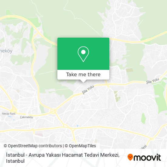 İstanbul - Avrupa Yakası Hacamat Tedavi Merkezi map