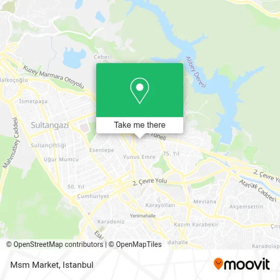 Msm Market map