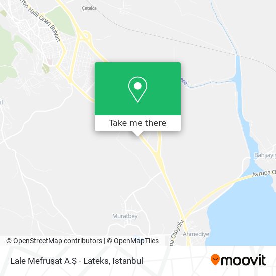 Lale Mefruşat A.Ş - Lateks map