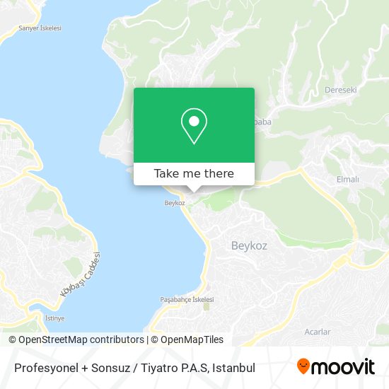 Profesyonel + Sonsuz / Tiyatro P.A.S map