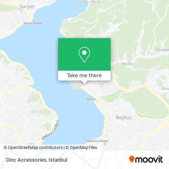 Dinc Accessories map