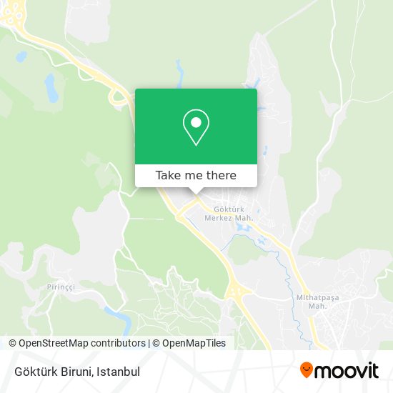 Göktürk Biruni map