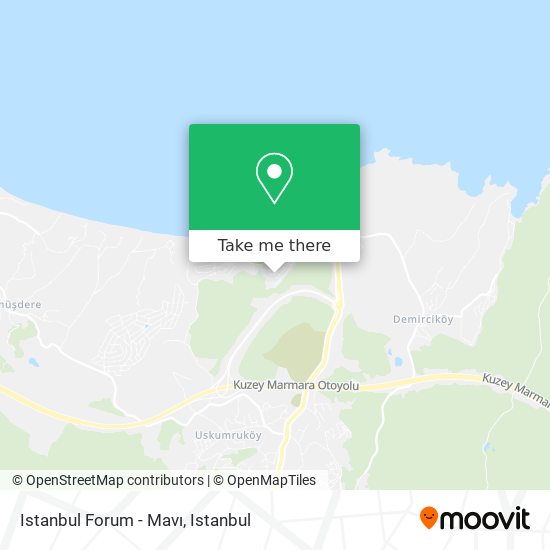 Istanbul Forum - Mavı map