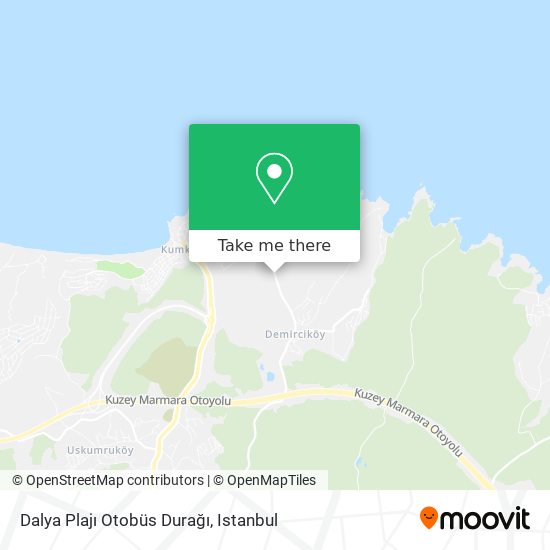 Dalya Plajı Otobüs Durağı map