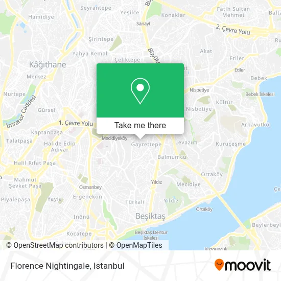 Florence Nightingale map