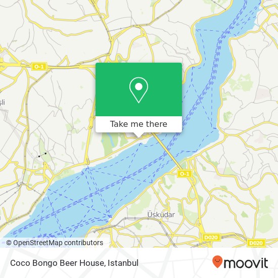 Coco Bongo Beer House map