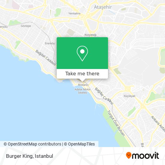 Burger King map