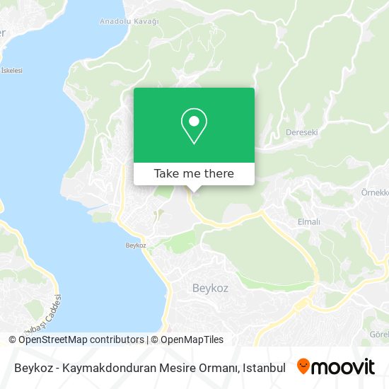 Beykoz - Kaymakdonduran Mesire Ormanı map